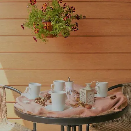 Art In 公寓 帕莫瑞